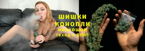гидра Богданович