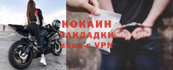 гидра Богданович