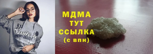 гидра Богданович