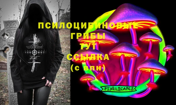 гидра Богданович