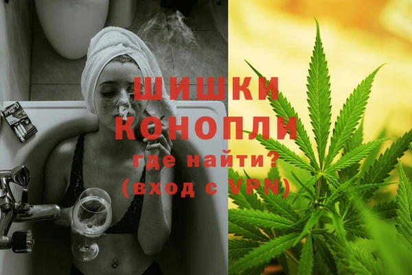 гидра Богданович