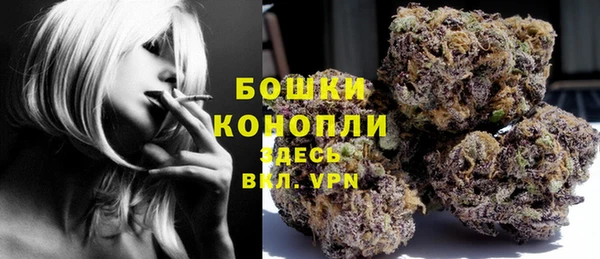 ALPHA PVP Богородицк