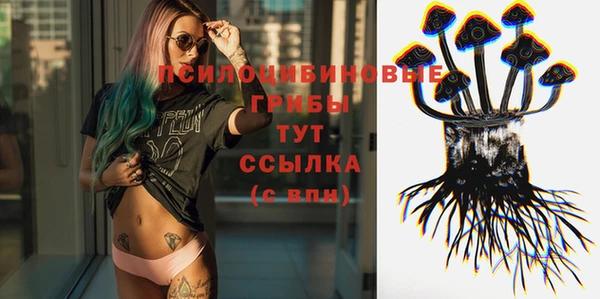 ALPHA PVP Богородицк