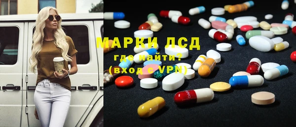 гидра Богданович