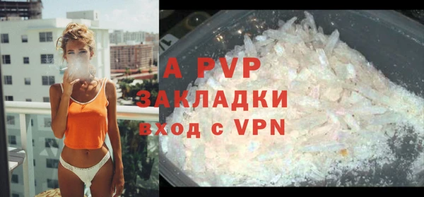 гидра Богданович